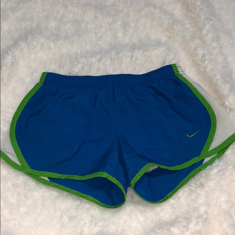 Nike Green and Blue Dri-Fit Shorts
